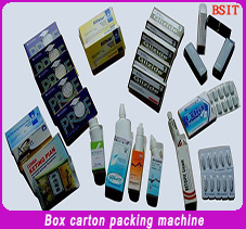 Botella redonda / Bolsa / Blister / Máscara protectora / Máquina de envasado de cajas de cartón (Bsm125)